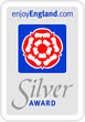 Silver Award 