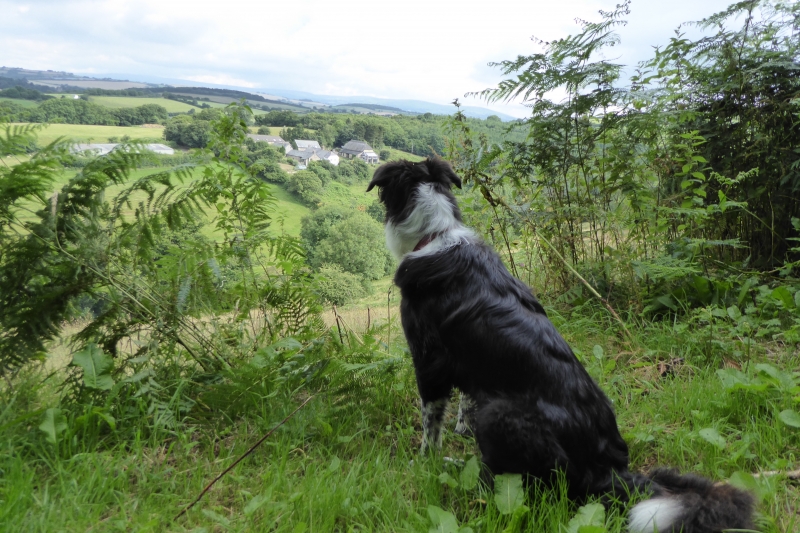 View from the top of the Farm