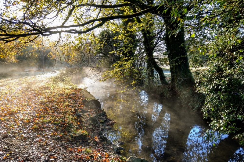 Woodland & riverside walks onsite
