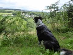 View from the top of the Farm