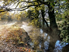 Woodland & riverside walks onsite