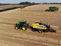 Harvest at Courtbrook
