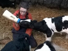 child activities with animals