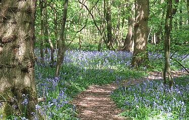 Spring Breaks in Devon