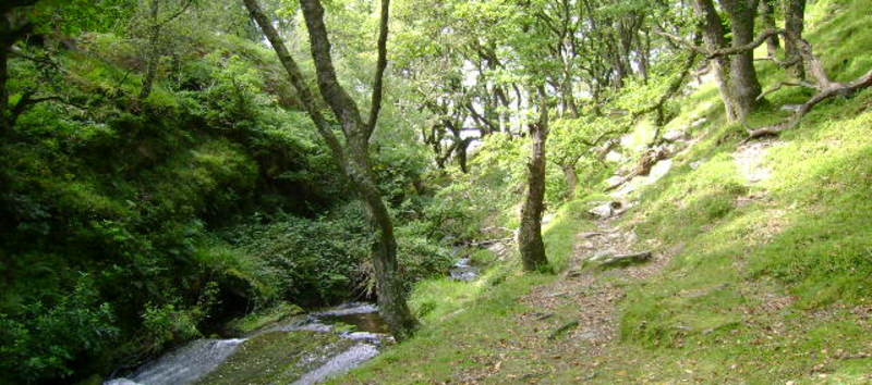 Walking Holiday Accommodation