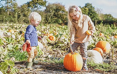 Why Every Child Should Experience Farming