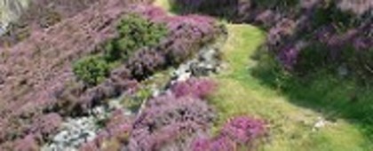 Fox and Goose, Parracombe